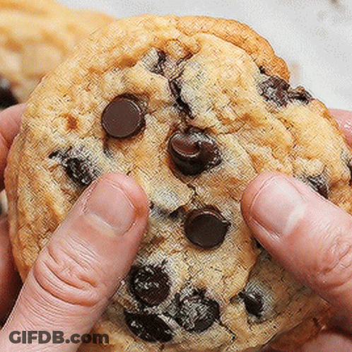 A Person Is Holding A Chocolate Chip Cookie With Their Fingers GIF