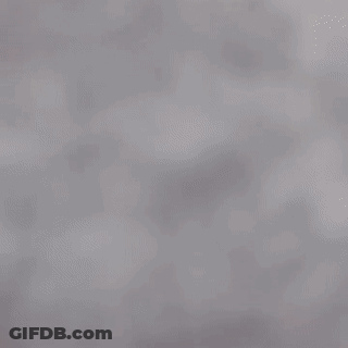 A Person Is Holding A Cookie That Has The Word Bff On It . GIF