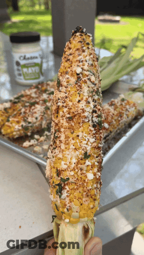 A Person Is Holding A Corn On The Cob With A Jar Of Cheese Sauce In The Background GIF