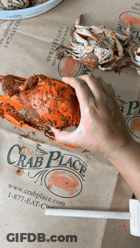A Person Is Holding A Crab In Front Of A Crab Place Bag GIF