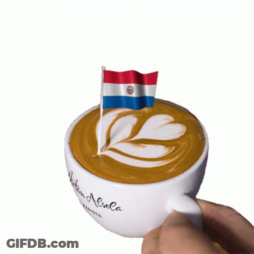 A Person Is Holding A Cup Of Coffee With A Paraguay Flag On Top GIF