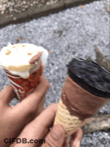 A Person Is Holding A Cup Of Ice Cream Next To A Chocolate Cone GIF