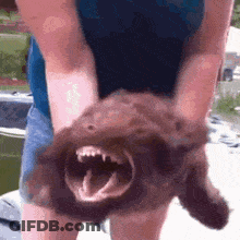 A Person Is Holding A Dog With Its Mouth Open GIF