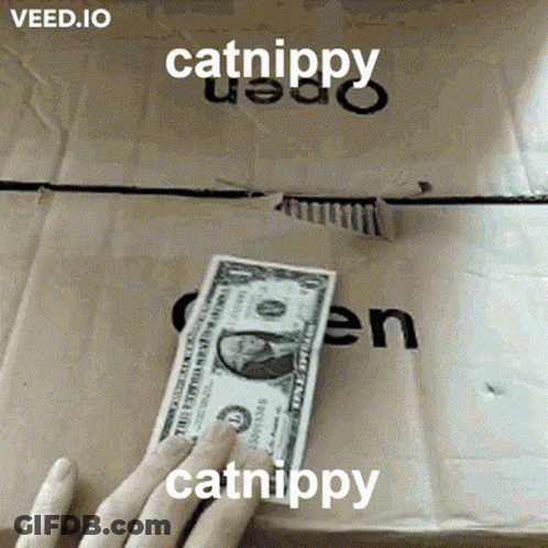 A Person Is Holding A Dollar Bill In Front Of A Cardboard Box With Catnippy Written On It GIF