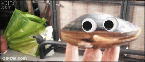 A Person Is Holding A Donut With Googly Eyes And The Gif Is From 4Gifs.com GIF