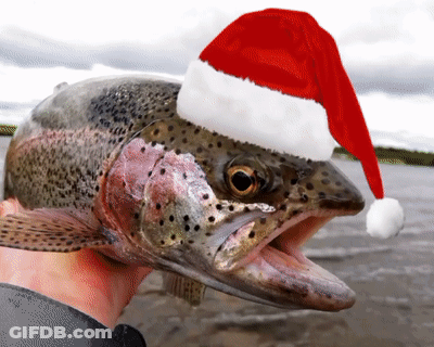 A Person Is Holding A Fish With A Santa Hat On It GIF