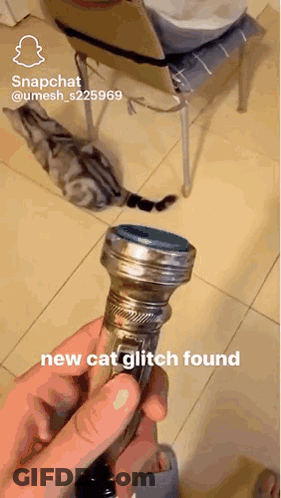 A Person Is Holding A Flashlight In Their Hand With The Words New Cat Glitch Found Below It GIF