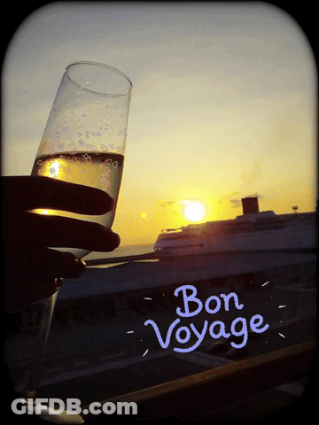 A Person Is Holding A Glass Of Wine With The Words Bon Voyage Written On The Bottom GIF