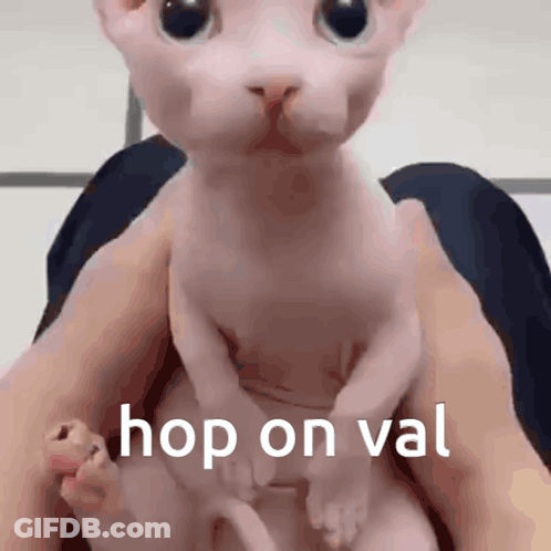 A Person Is Holding A Hairless Cat That Says Hop On Val On It GIF