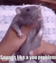 A Person Is Holding A Hamster In Their Hand With The Words `` Sounds Like A You Problem '' Written On It . GIF