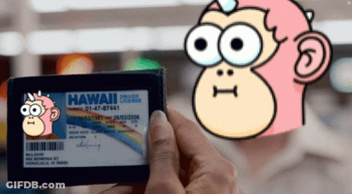 A Person Is Holding A Hawaii Driver License In Front Of A Cartoon Monkey GIF