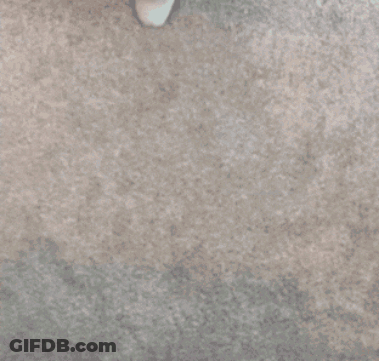 A Person Is Holding A Jersey That Says 14 On It GIF