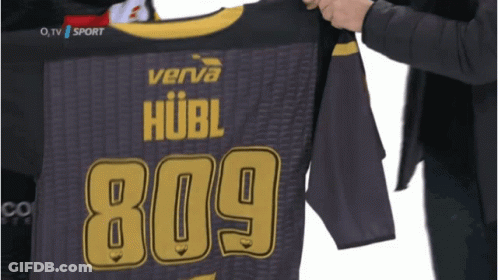 Person Holding Verva Hubl Jersey GIF