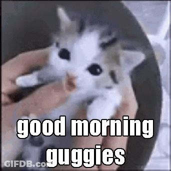 A Person Is Holding A Kitten In Their Hands With The Words `` Good Morning Guggies '' Written Above It . GIF