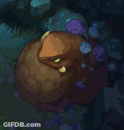 A Person Is Holding A Large Frog With A Yellow Stripe On Its Chest GIF
