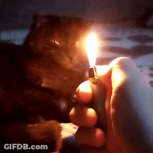 A Person Is Holding A Lighter With A Bic Logo On It GIF