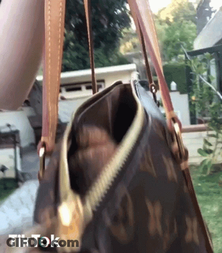A Person Is Holding A Louis Vuitton Purse With A Zipper GIF