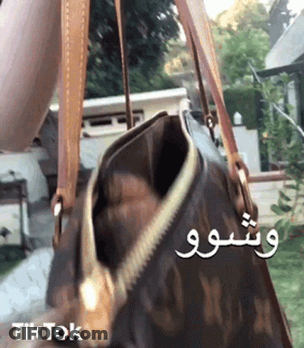 A Person Is Holding A Louis Vuitton Purse With A Zipper Open . GIF