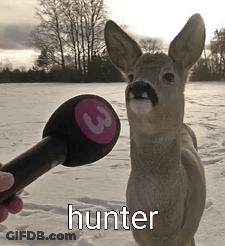 A Person Is Holding A Microphone In Front Of A Deer That Says Hunter On It GIF