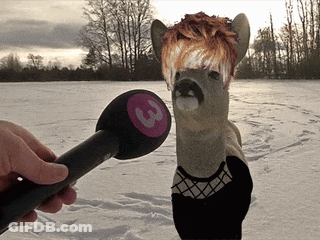 A Person Is Holding A Microphone In Front Of A Deer With The Number 3 On It GIF