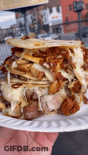 A Person Is Holding A Paper Plate With A Sandwich On Top Of It GIF