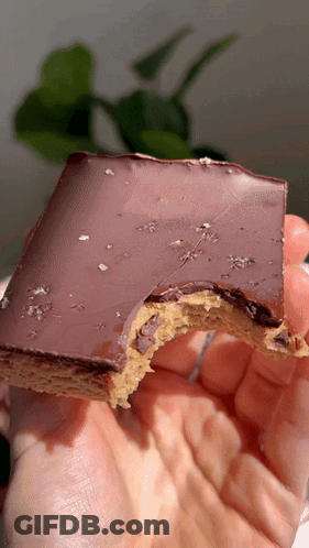 A Person Is Holding A Piece Of Chocolate Covered Dessert With A Bite Taken Out Of It GIF