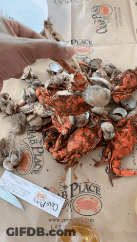 A Person Is Holding A Piece Of Paper That Says The Crab Place On It GIF