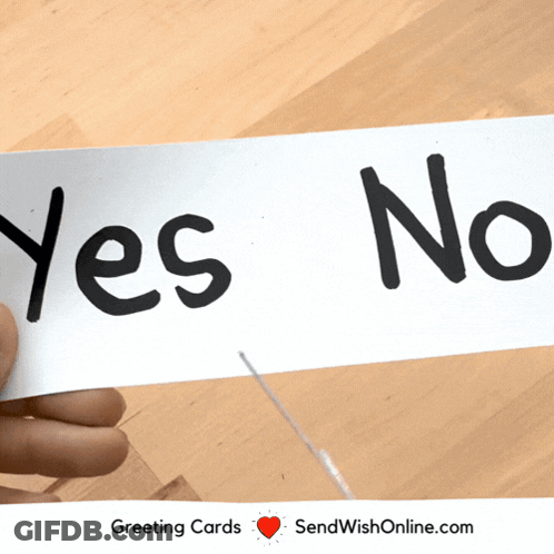 A Person Is Holding A Piece Of Paper That Says " Yes No " GIF