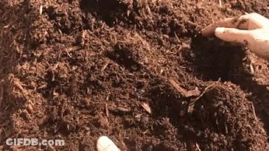 A Person Is Holding A Pile Of Brown Dirt GIF