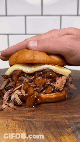 A Person Is Holding A Pulled Pork Sandwich On A Bun GIF