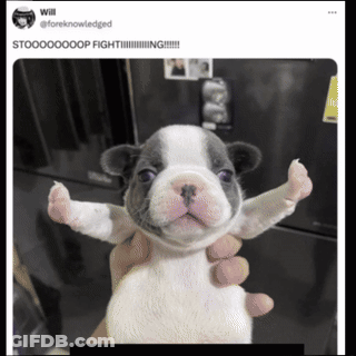A Person Is Holding A Puppy With Their Arms Outstretched In Front Of A Fridge GIF