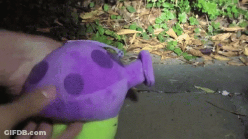 A Person Is Holding A Purple Stuffed Animal With Polka Dots GIF