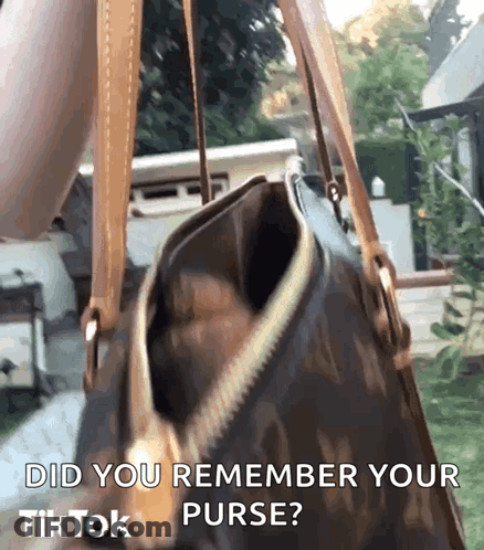 A Person Is Holding A Purse With The Words Did You Remember Your Purse GIF