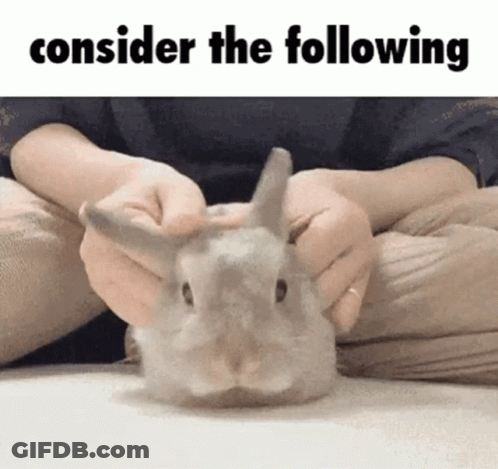 A Person Is Holding A Rabbit With The Words " Consider The Following " Above It GIF