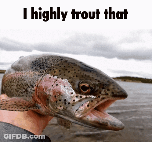 A Person Is Holding A Rainbow Trout With The Words I Highly Trout That Above It GIF