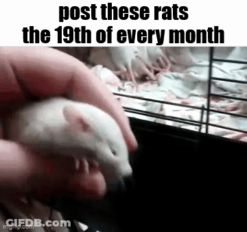 A Person Is Holding A Rat In Their Hand And A Cage Of Rats Is Behind Them . GIF