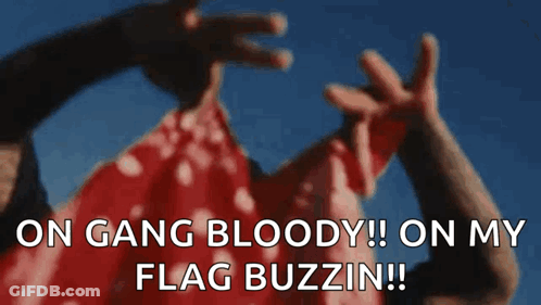 A Person Is Holding A Red Flag With The Words `` On Gang Bloody !! On My Flag Buzzin !! '' GIF