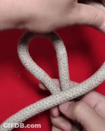 A Person Is Holding A Rope In Their Hands . GIF