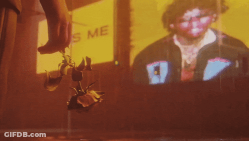 A Person Is Holding A Rose In Front Of A Sign That Says ' Kiss Me ' GIF