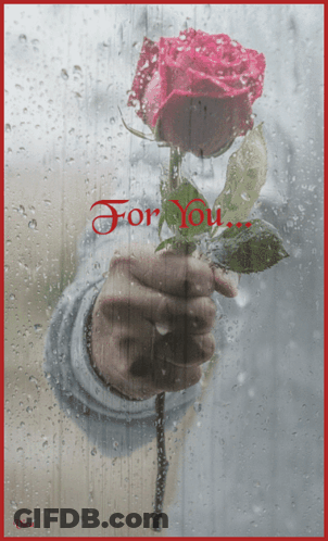 A Person Is Holding A Rose In Front Of A Window With The Words For You Written On It GIF