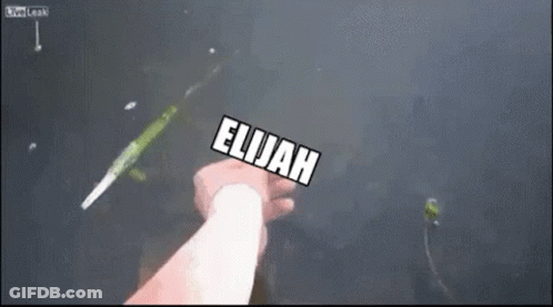 A Person Is Holding A Sign That Says Cfgbc Elijah GIF