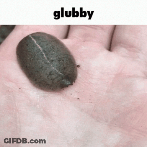 A Person Is Holding A Small Black Bug In Their Hand And The Word Glubby Is Above It GIF