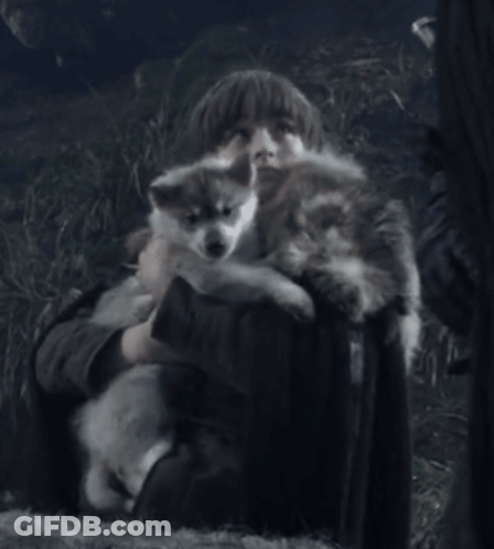 A Person Is Holding A Small Dog In Their Arms GIF