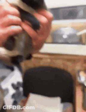 A Person Is Holding A Small Dog In Their Hands In A Blurry Photo . GIF