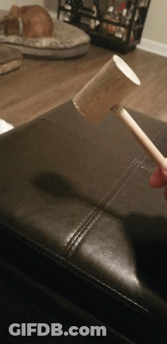 A Person Is Holding A Small Wooden Mallet In Front Of A Dog GIF