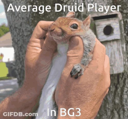 Person Holding Squirrel With BG3 Average Druid Text GIF