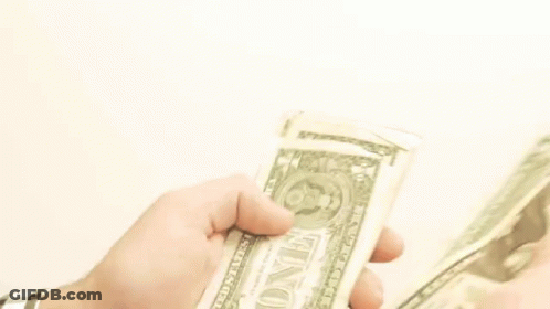 A Person Is Holding A Stack Of One Dollar Bills . GIF