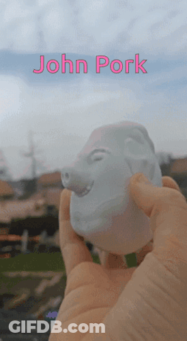 A Person Is Holding A Statue Of A Pig With The Name John Pork On The Top GIF