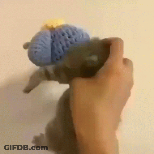 A Person Is Holding A Stuffed Animal In Their Hand GIF