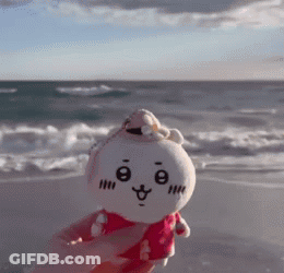 A Person Is Holding A Stuffed Animal On A Beach GIF